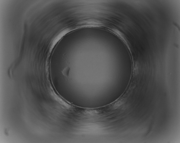 X0000102021243200807181319