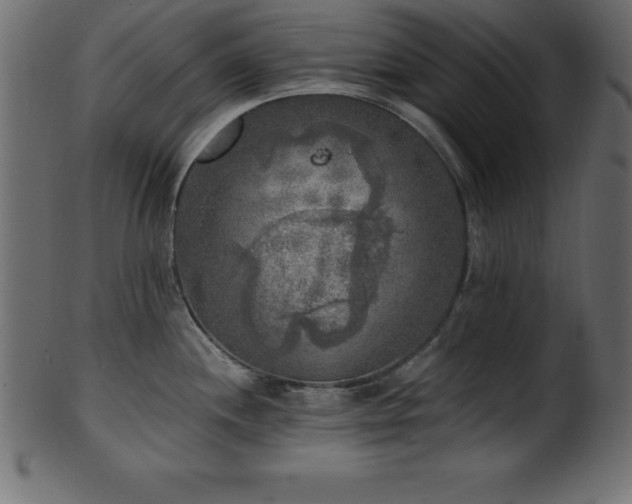 X0000102021244200807181319