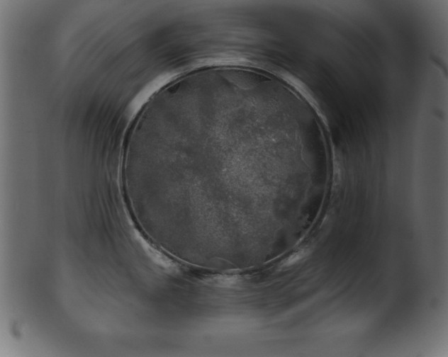 X0000102021245200807181319