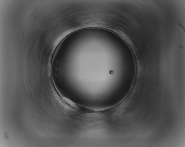 X0000102021246200807181319