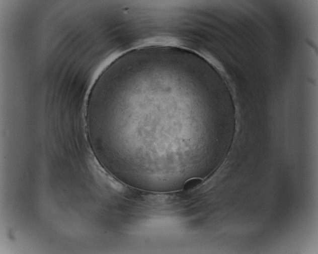 X0000102021248200807181319