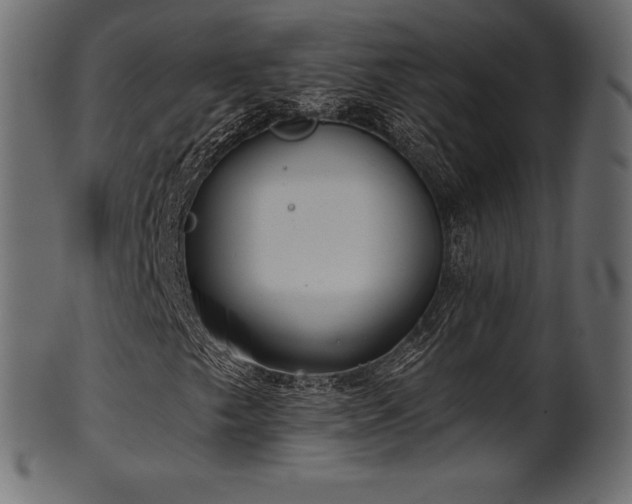 X0000102021249200807181318