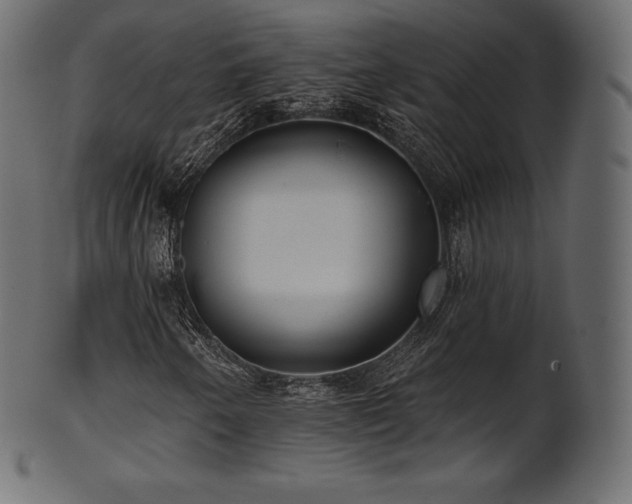 X0000102021250200807181318