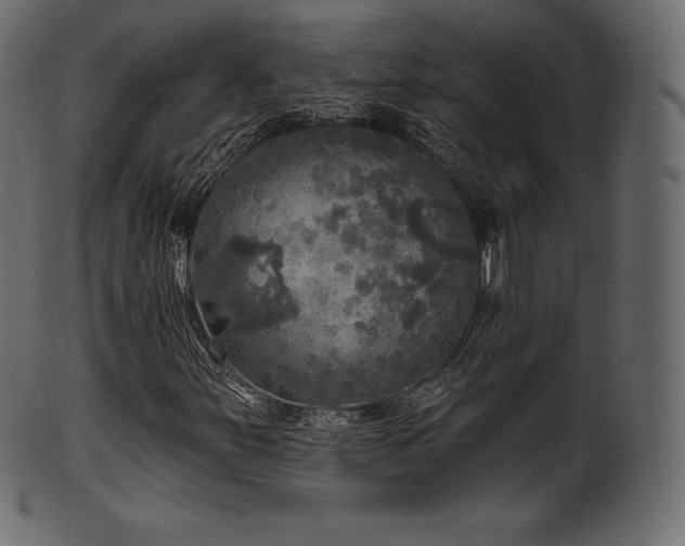 X0000102021251200807181318