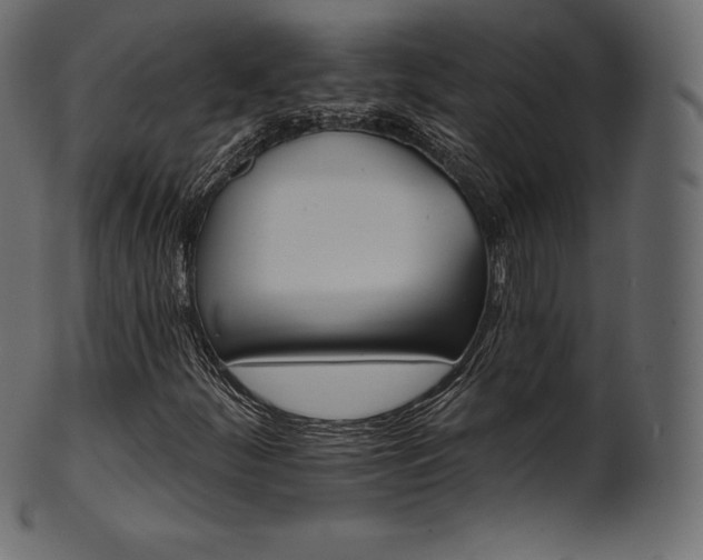 X0000102021252200807181318