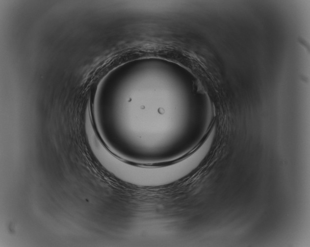 X0000102021253200807181318