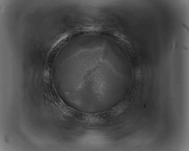 X0000102021254200807181318
