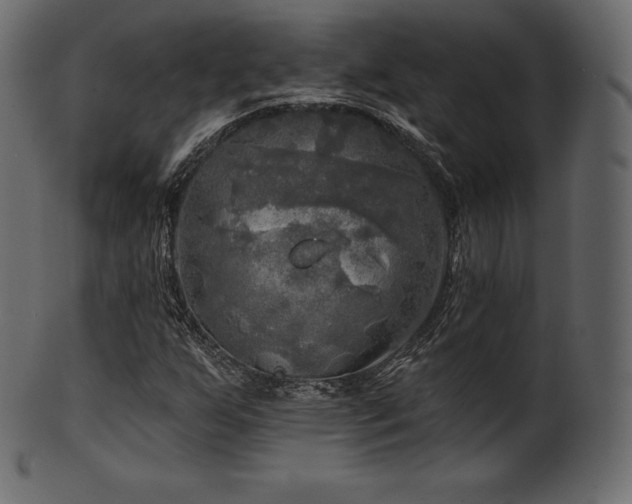 X0000102021255200807181318