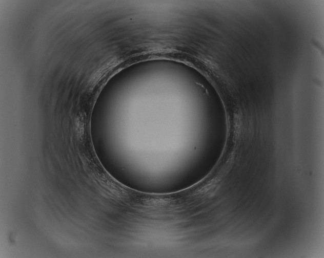 X0000102021257200807181318