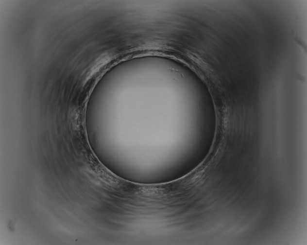 X0000102021258200807181318