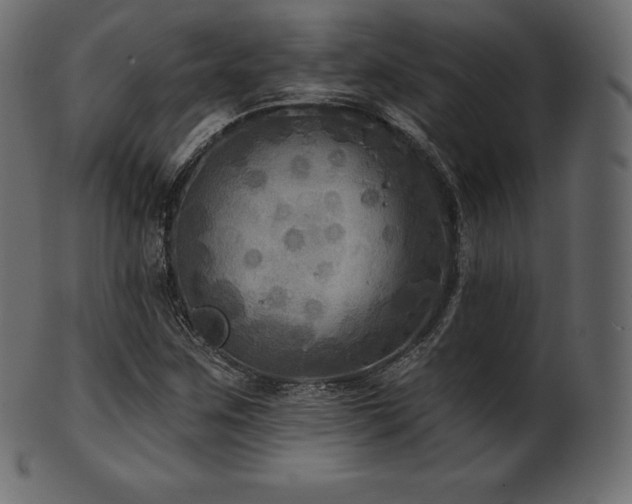 X0000102021259200807181318