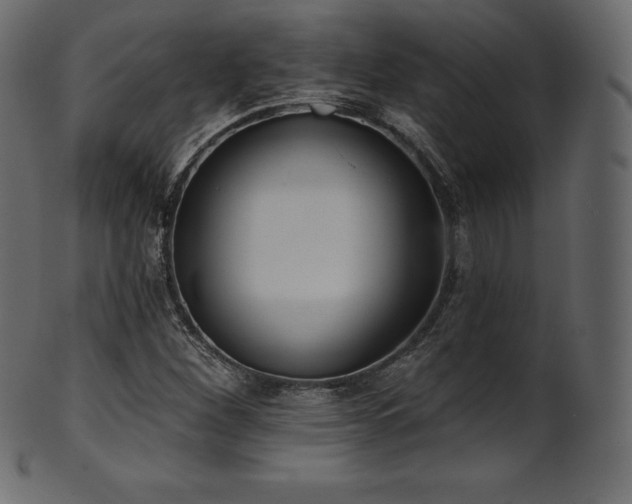 X0000102021260200807181318