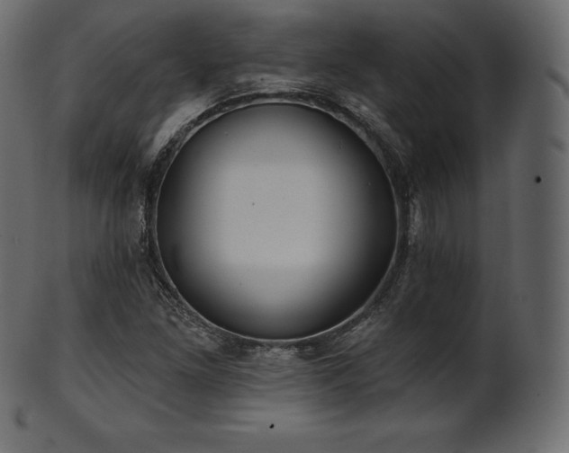 X0000102021261200807181318