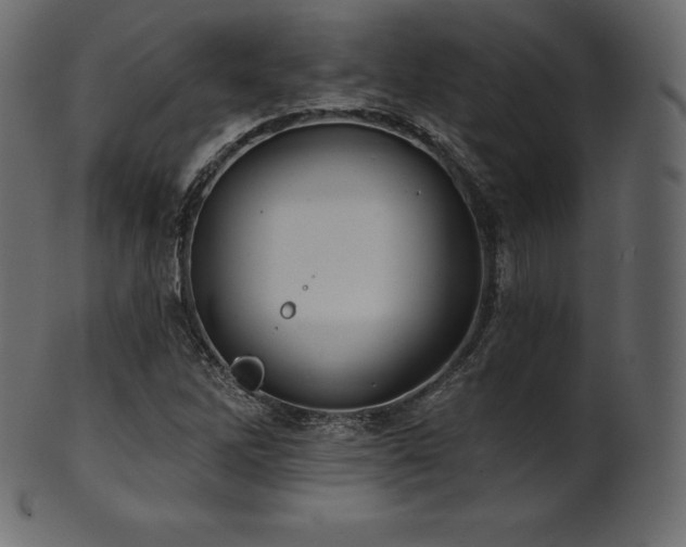 X0000102021262200807181318