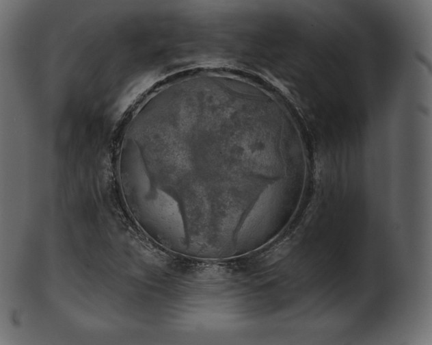 X0000102021263200807181318