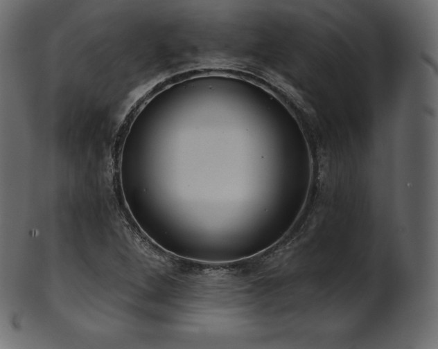X0000102021264200807181318