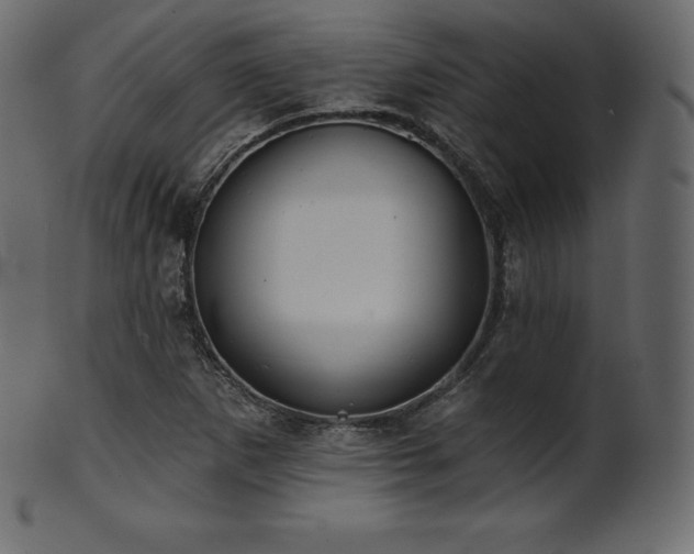X0000102021265200807181318