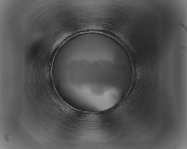 X0000102021266200807181318