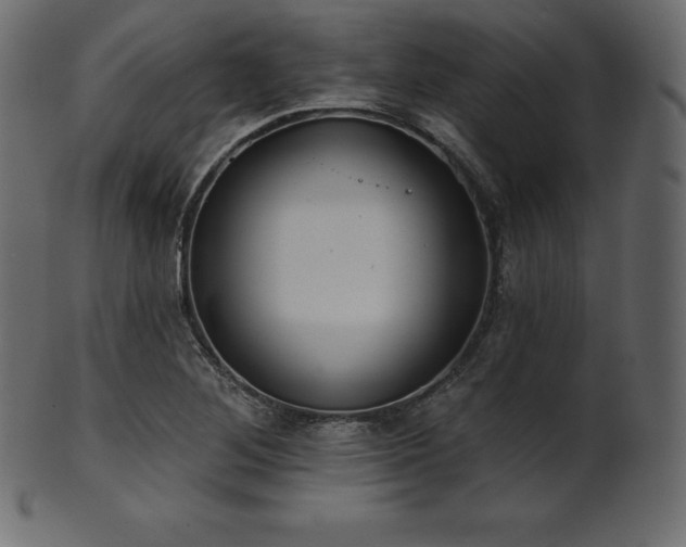 X0000102021268200807181318