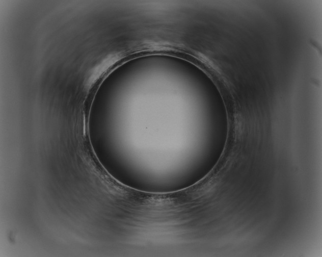 X0000102021269200807181318