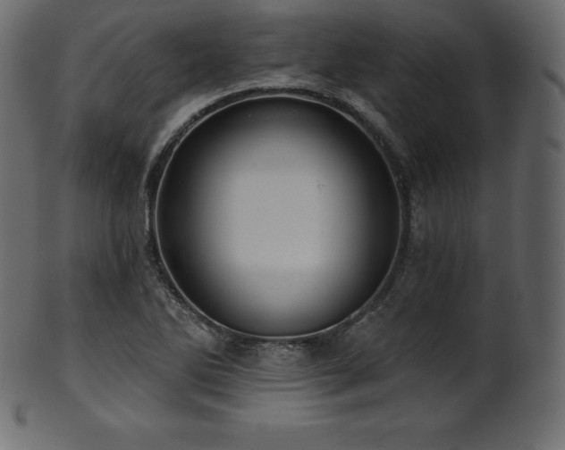 X0000102021270200807181318