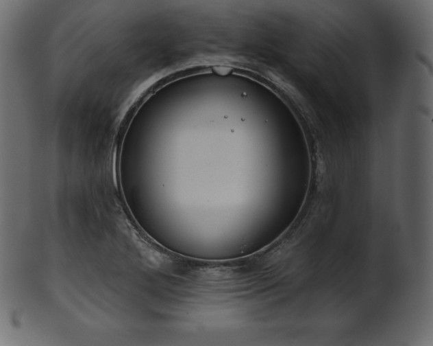 X0000102021272200807181318