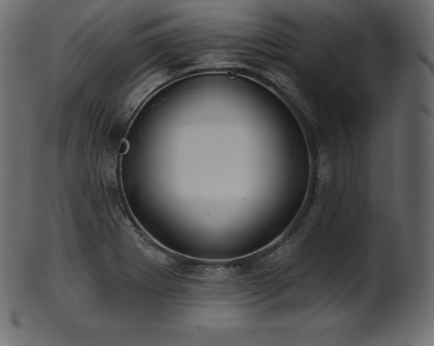 X0000102021273200807181318