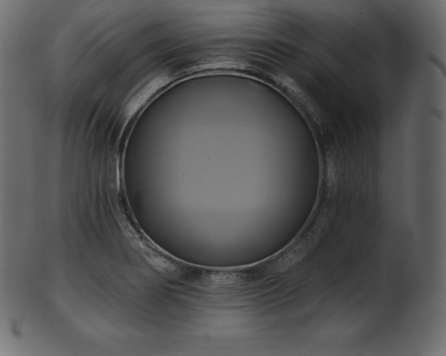 X0000102021274200807181318