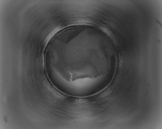 X0000102021275200807181318