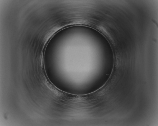 X0000102021276200807181318
