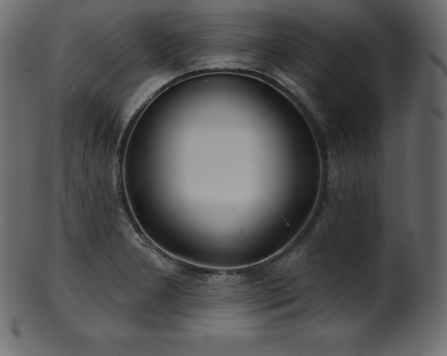 X0000102021277200807181318