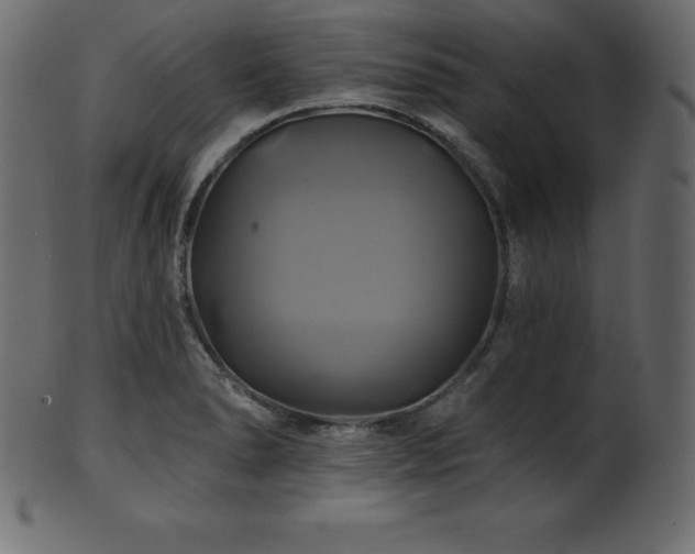 X0000102021278200807181318