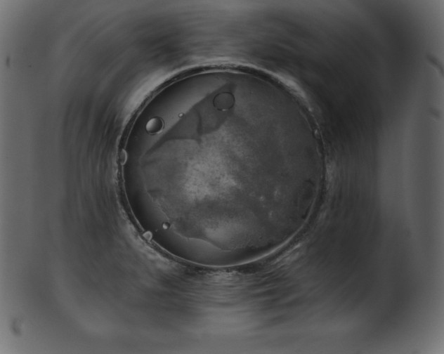 X0000102021279200807181318