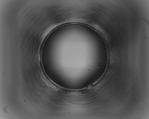 X0000102021280200807181318