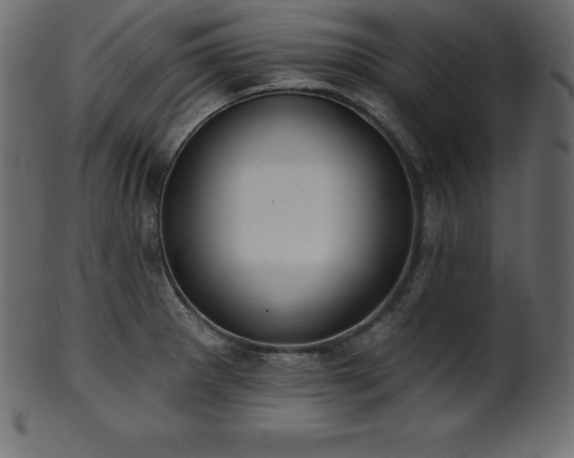 X0000102021281200807181318