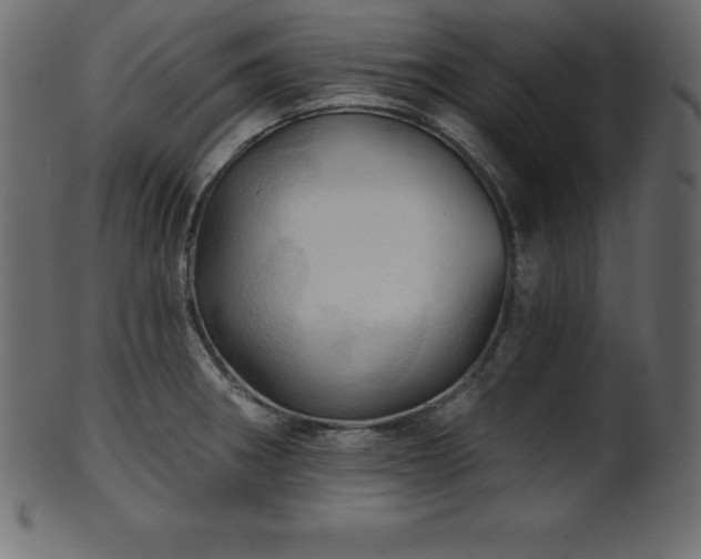 X0000102021282200807181318