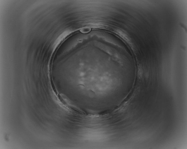 X0000102021283200807181318