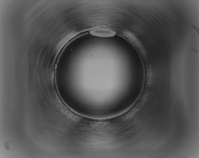 X0000102021284200807181318