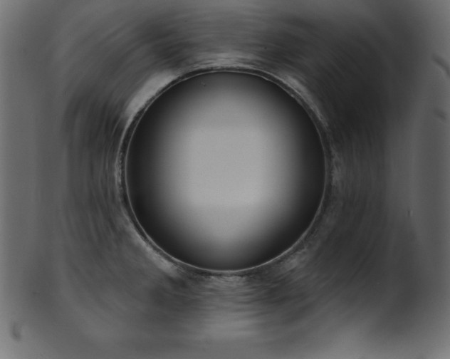 X0000102021285200807181318