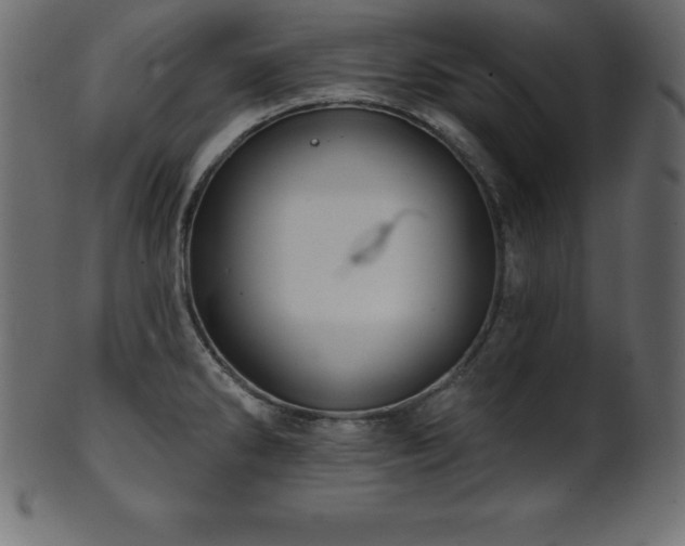 X0000102021286200807181318