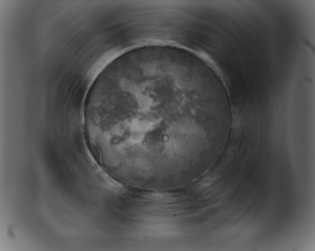 X0000102021287200807181318