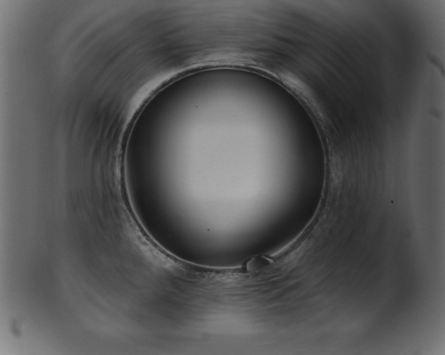 X0000102021288200807181318
