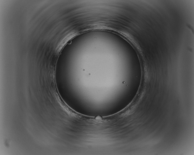 X0000102021289200807181318