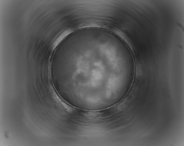 X0000102021290200807181318