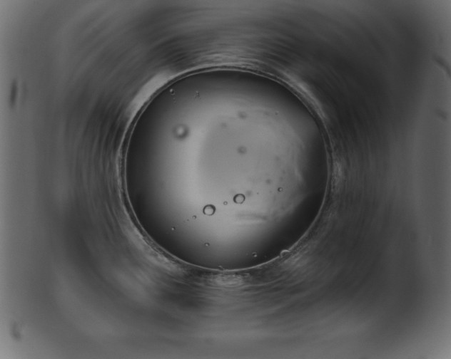X0000102021291200807181317