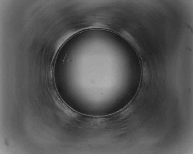 X0000102021292200807181317