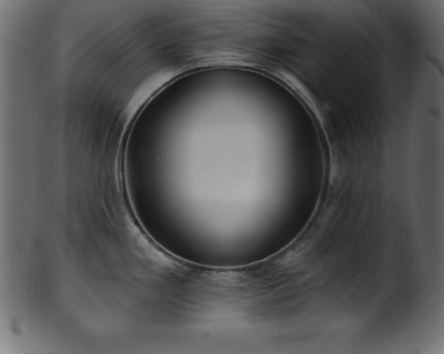 X0000102021293200807181317