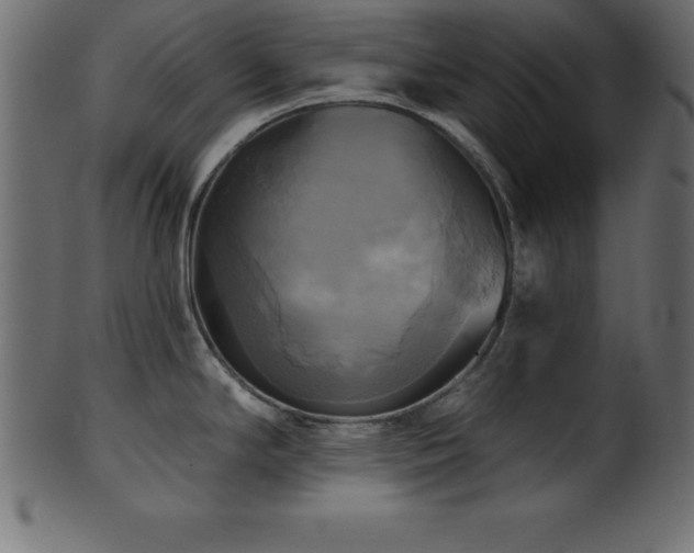 X0000102021294200807181317