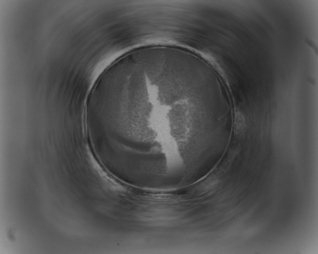 X0000102021295200807181317