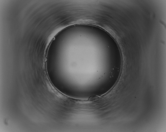 X0000102021296200807181317